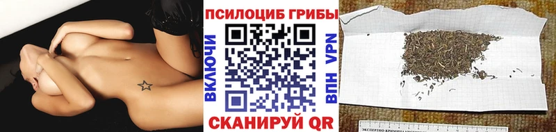 hydra tor  Магадан  мориарти формула  Псилоцибиновые грибы мухоморы 